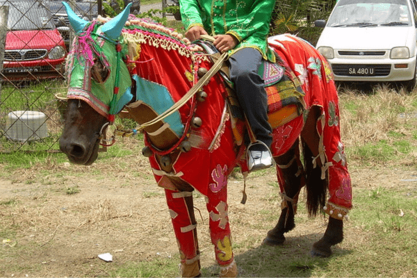 Bajau Pony